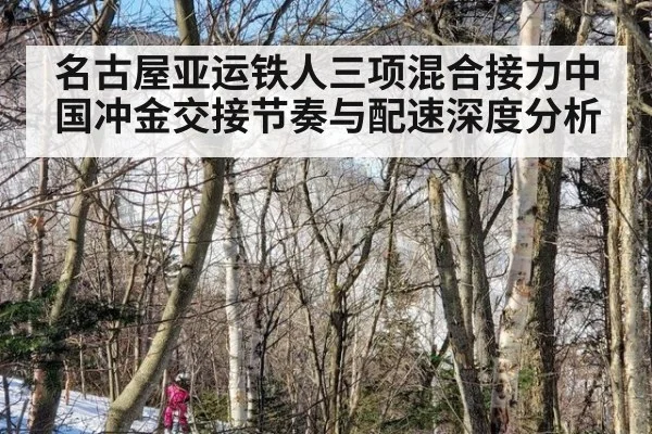 名古屋亚运铁人三项混合接力中国冲金交接节奏与配速深度分析